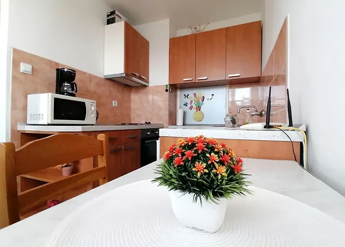 Апартаменты Grebovic *